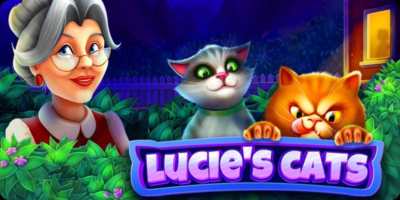 lucie's-cats-are-the-masters-of-the-house